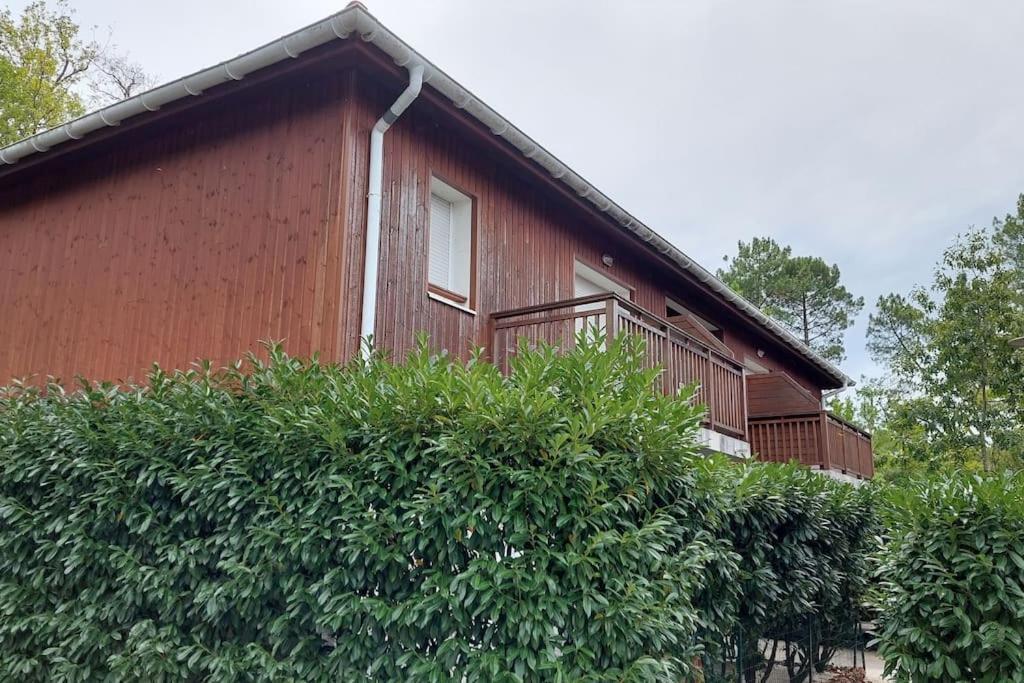 Appartement Cosy Biscarrosse Zewnętrze zdjęcie